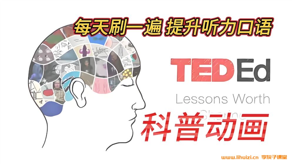 TED-Ed科普动画系列《你应该知道的知识》 10大类型423讲课程合集 百度网盘下载